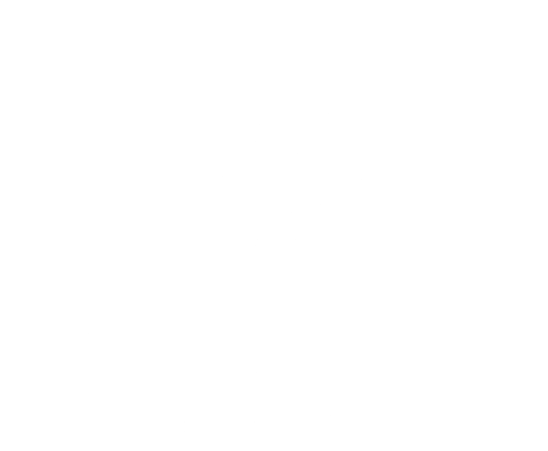 CyFortis Global